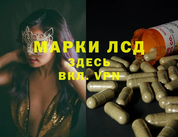 ECSTASY Вяземский